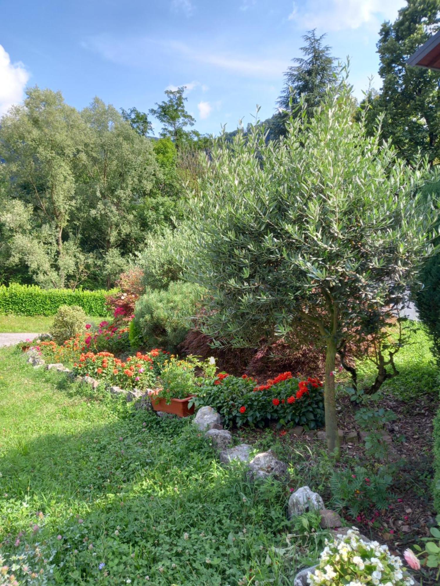 Casa Vacanze Tania Somendenna Екстериор снимка